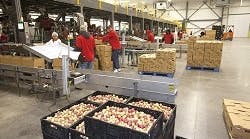 TastefulBins TastefulBins