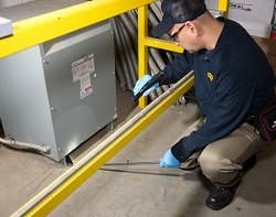 McCloud-Services-Light-Traps McCloud-Services-Light-Traps