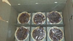 Master-Shipper-2 Master-Shipper-2