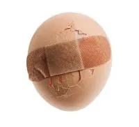 ResizedImage200182-ADM-Egg-Replacers ResizedImage200182-ADM-Egg-Replacers