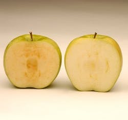 1660319641264 Conventionalapplevsarctic 1660319641264 Conventionalapplevsarctic