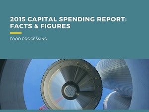 1660319642823 2015capitalspendingreportwebsite
