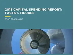 2015-Capital-Spending-Report-website 2015-Capital-Spending-Report-website