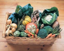 1660319771016 Resizedimage550436basketofvegetables 1660319771016 Resizedimage550436basketofvegetables