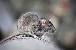 1660319773420 Ratd 1660319773420 Ratd