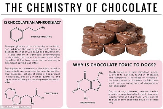 1660319815725 Scienceofchocolate
