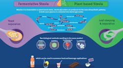 Fermentation-Infographic