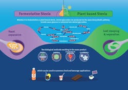 1660319818212 Fermentationinfographic 1660319818212 Fermentationinfographic