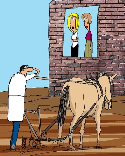 1660319848824 07julyfarmingfoodfunny400