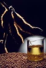 ResizedImage150222-soybeans-and-oil ResizedImage150222-soybeans-and-oil