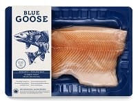 blue-goose-trout blue-goose-trout