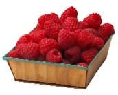 raspberriesWeb raspberriesWeb