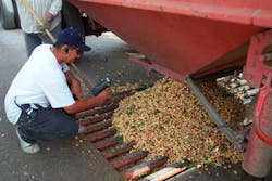 resizedimage1079720-zzzz758 resizedimage1079720-zzzz758