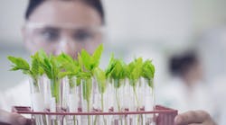 plants-in-lab