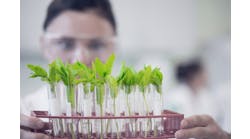 plants-in-lab