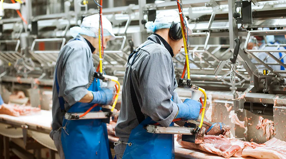 Increasing Traceability in the Meat Supply Chain | Food Processing
