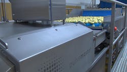 1660601262032 Pulsedelectricfield 1660601262032 Pulsedelectricfield