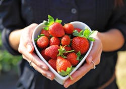 1660601320471 Strawberryinheartshapebowl 1660601320471 Strawberryinheartshapebowl