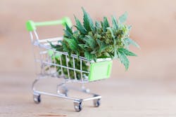 1660601358735 Grocerycannabis 1660601358735 Grocerycannabis
