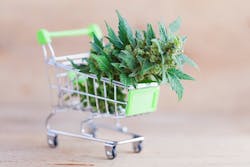1660601458057 Grocerycannabis2 1660601458057 Grocerycannabis2