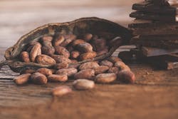 1660601491175 Cocoabeans 1660601491175 Cocoabeans