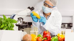Food-scientist-examine