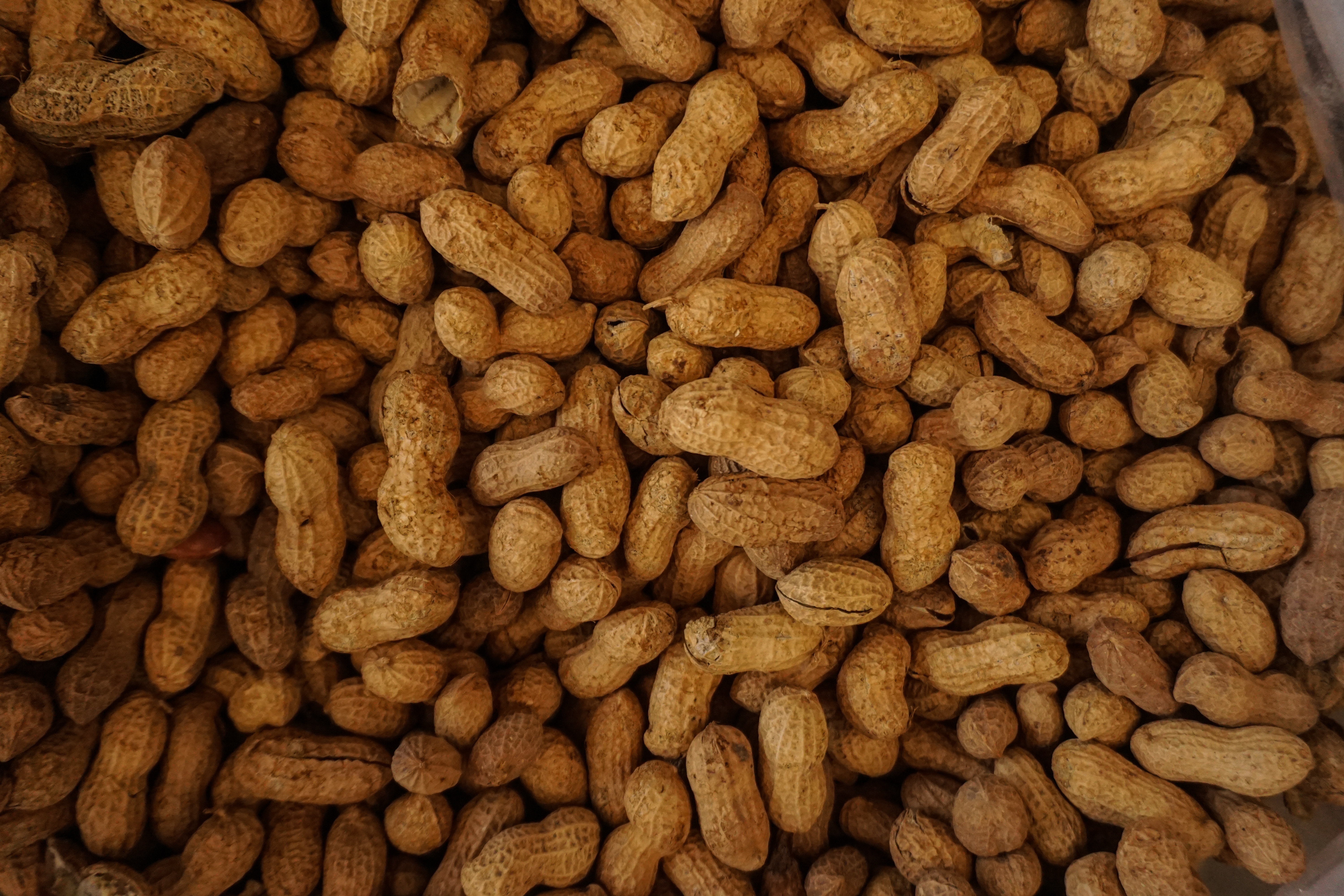 Peanut Corporation of America 10 Years Later Food Processing