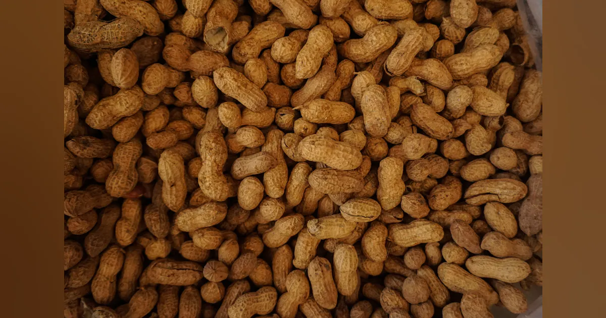 Pca Peanuts Peanut Corporation of America: 10 Years Later | Food Processing