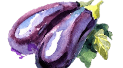 aromatech-eggplant