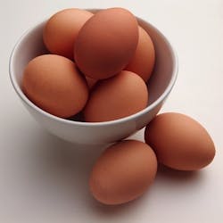 1660601853030 Eggs 1660601853030 Eggs