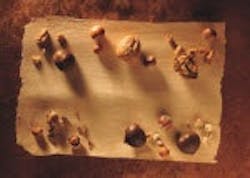 1660601918825 Nutsthumb 1660601918825 Nutsthumb