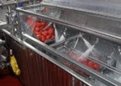 1660601949204 Hpptomatoshowersmall 1660601949204 Hpptomatoshowersmall