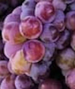 1660602189621 Hp Spot 1660602189621 Hp Spot