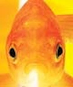 1660602214389 Hp Encap 1660602214389 Hp Encap