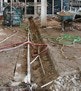 1660602266101 Fp0607 Plant Thumbnail