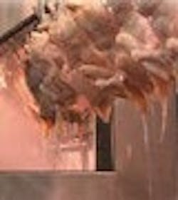 1660602269807 Fp0606 Plant Thumbnail 1660602269807 Fp0606 Plant Thumbnail