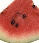 1660602296238 Watermelon Ars Thumbnail