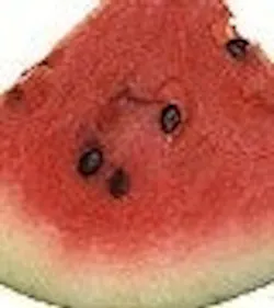 1660602296238 Watermelon Ars Thumbnail