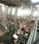 1660602381434 Fp0501 Plant Thumbnail