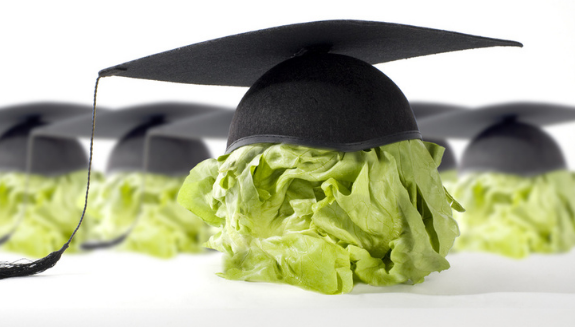 1661879739322 Incubatorcover