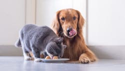 1661879759182 Pets 1661879759182 Pets