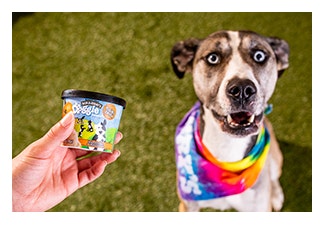 1661880031313 Doggiedessertssite