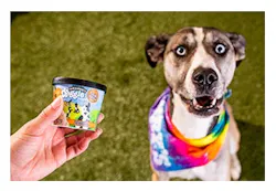 1661880031313 Doggiedessertssite