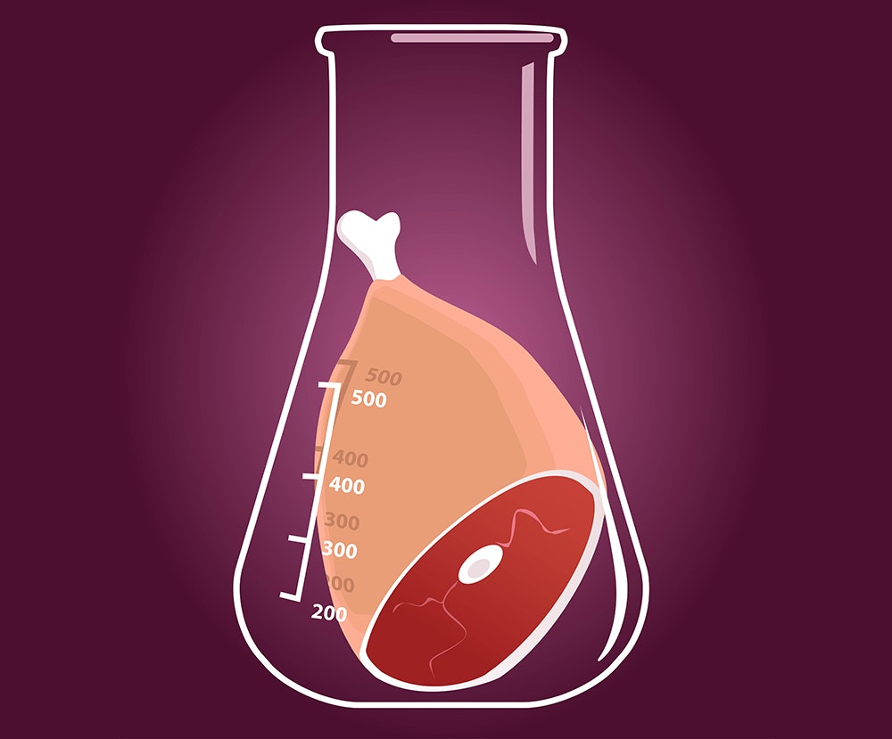 1661880546065 Culturedmeatinlaboratoryflask