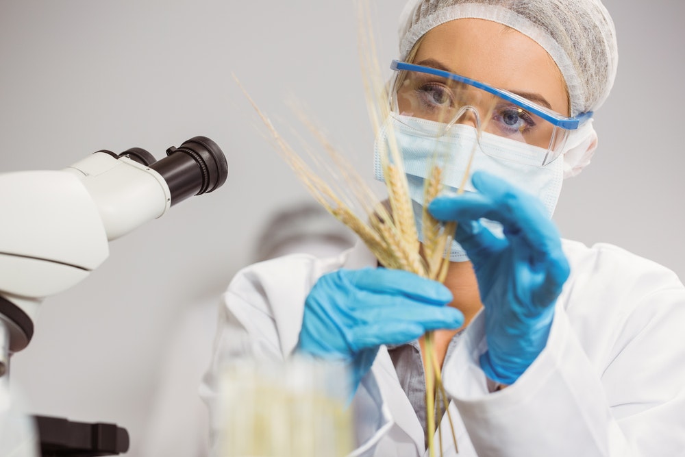1661880966279 Foodscientist