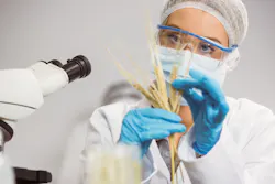 1661880966279 Foodscientist 1661880966279 Foodscientist