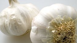 Two-garlic-bulbs