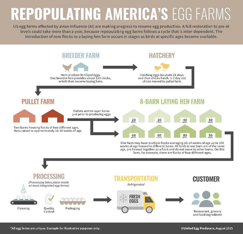 1661889571298 Repopulatingamericaseggs