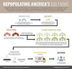 1661889571298 Repopulatingamericaseggs 1661889571298 Repopulatingamericaseggs