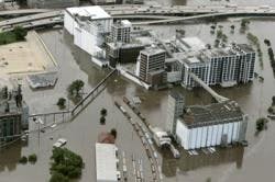 resizedimage250166-3894504 resizedimage250166-3894504